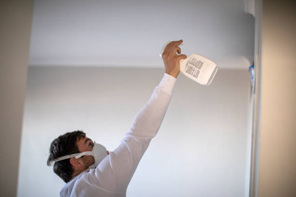 Best Local Mold Removal Service  in Silverthorne, CO